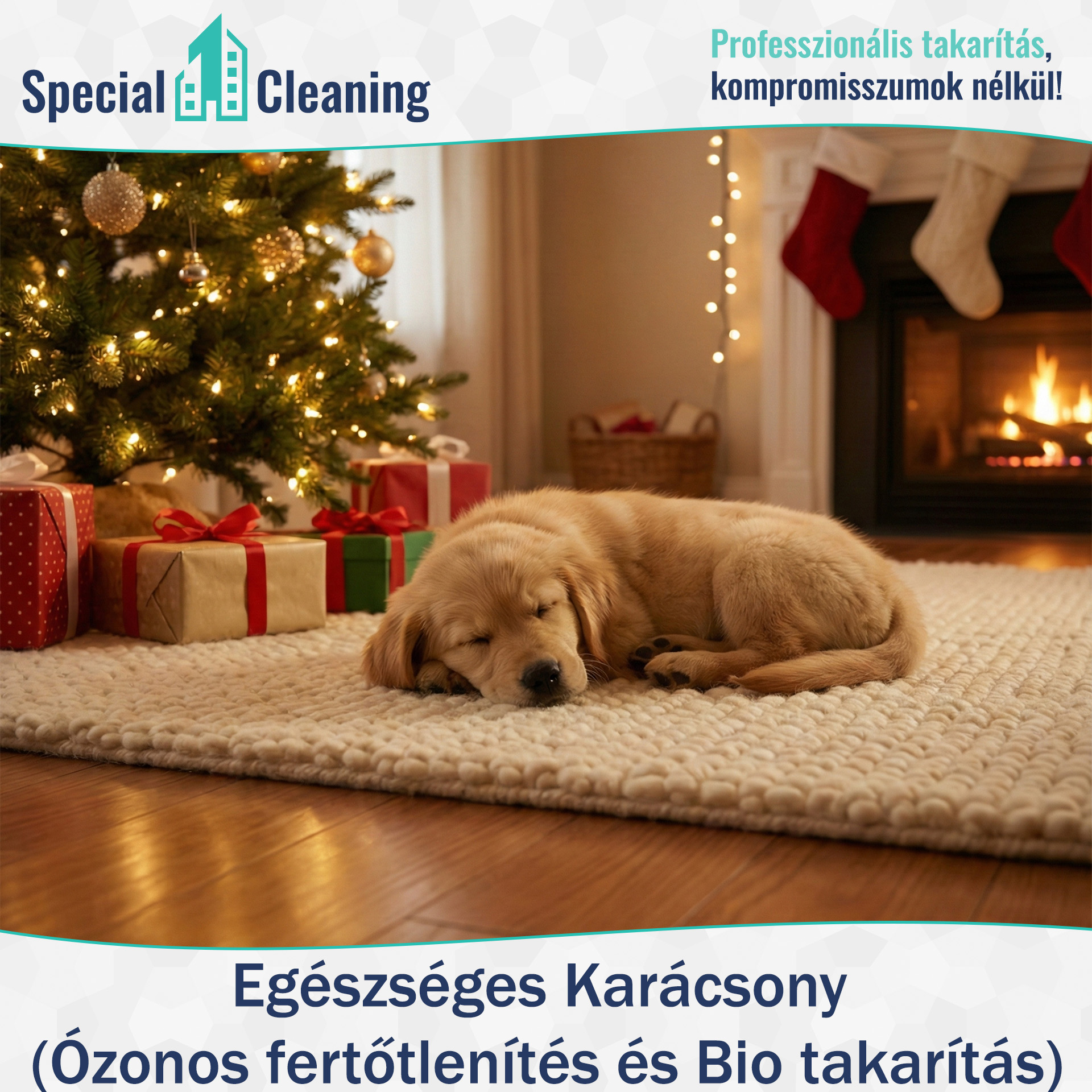 Egészséges karácsony Egészséges karácsony